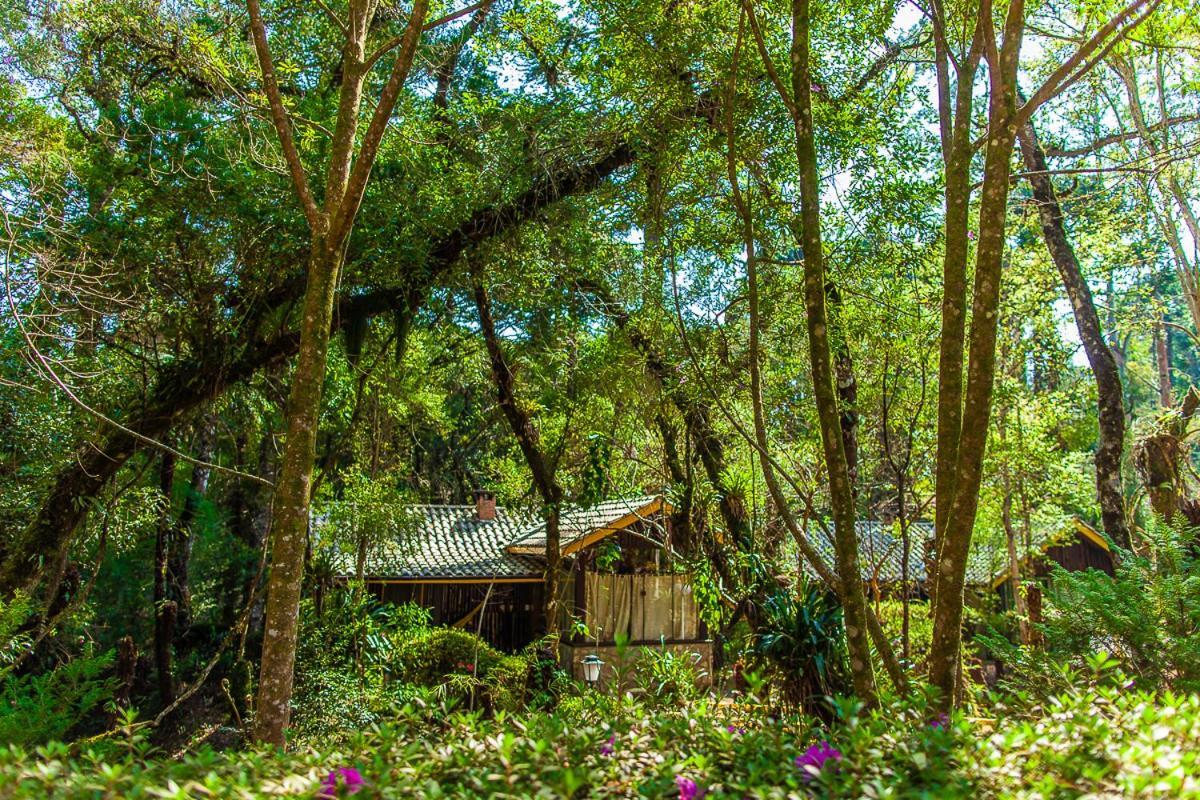 Pousada Villa D'Amore Monte Verde  Exterior photo